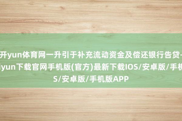 开yun体育网一升引于补充流动资金及偿还银行告贷-开云kaiyun下载官网手机版(官方)最新下载IOS/安卓版/手机版APP