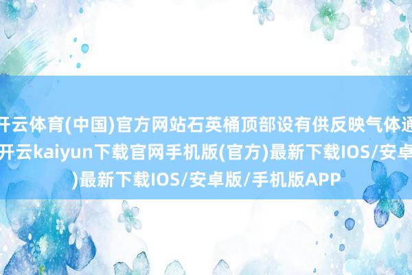 开云体育(中国)官方网站石英桶顶部设有供反映气体通入的石英方管-开云kaiyun下载官网手机版(官方)最新下载IOS/安卓版/手机版APP